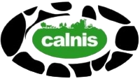 client